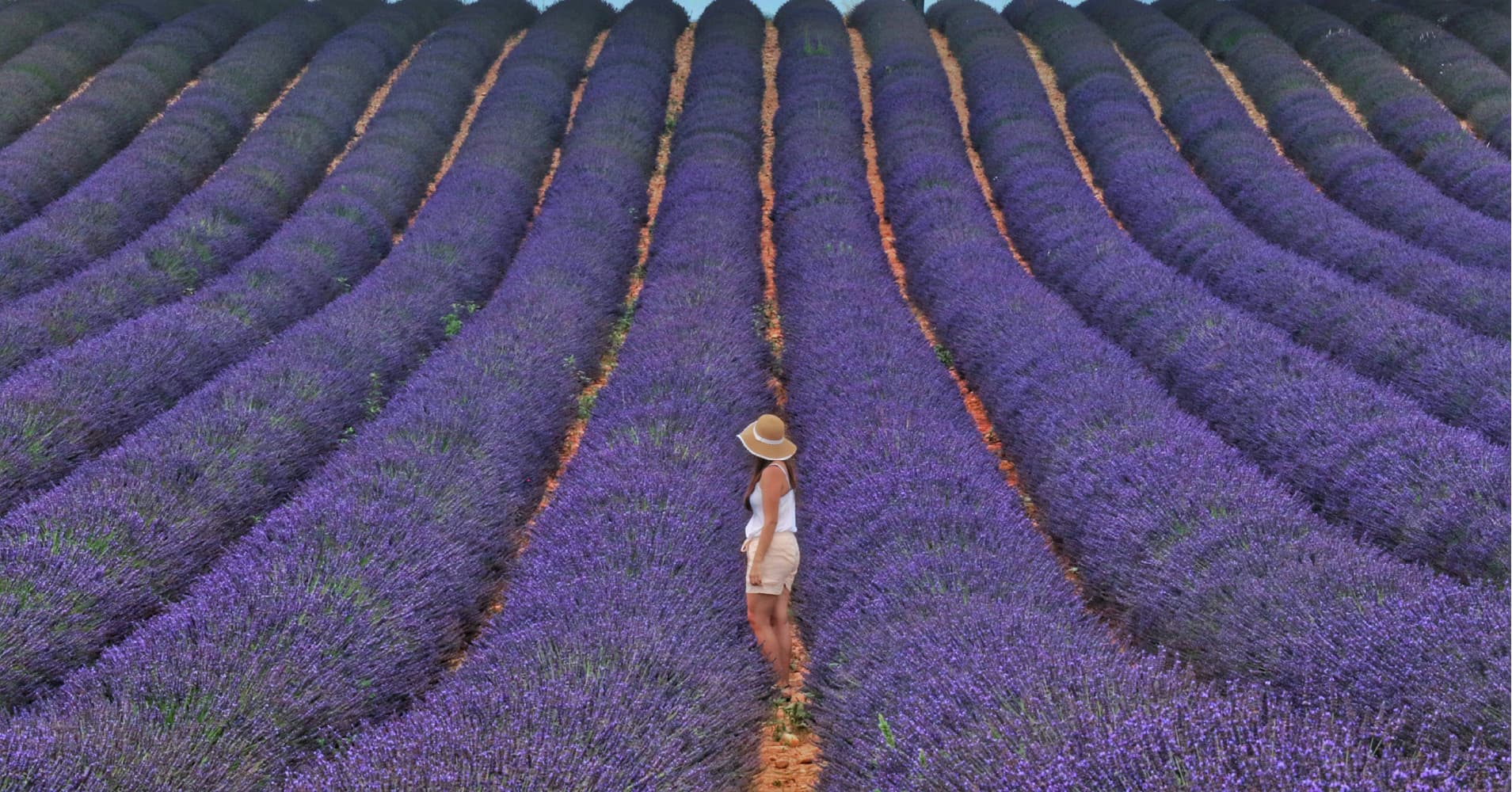 Melissa Mabe cover image