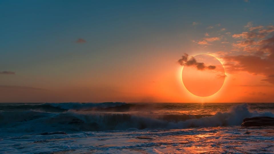 Vibert Noble cover image